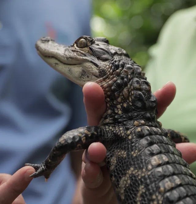 Land’s End Workwear: Supporting the Greenville Zoo’s Vital Work