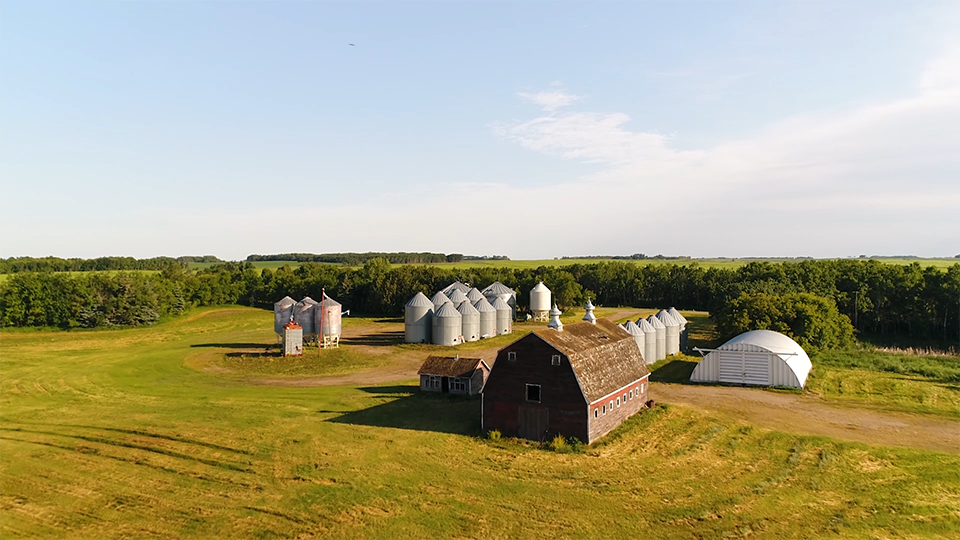 An image of a farm yard against a blue cloudy sky, with trees in the background and a yellow-green field.