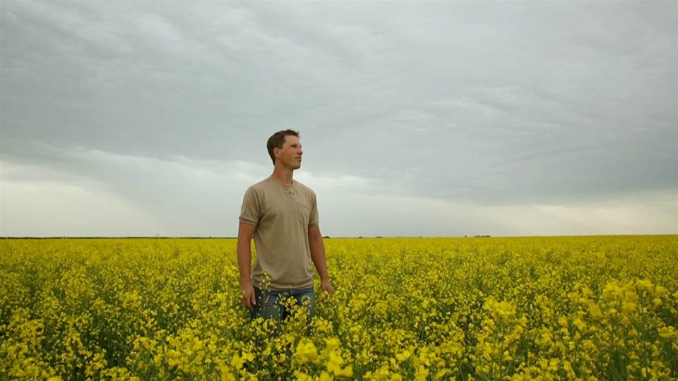 An image of a man looking up and standing in a canola field with a cloudy dark sky in the background.