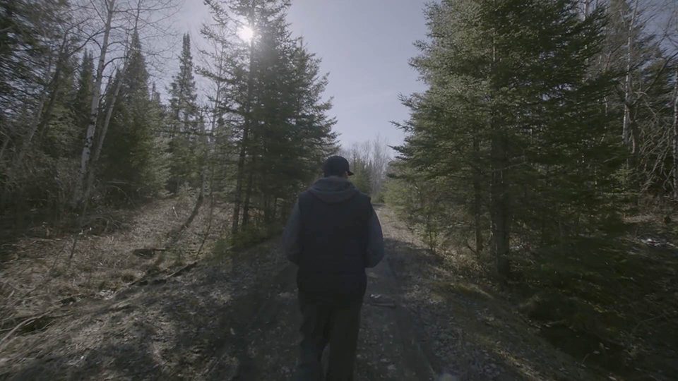 An image of a man walking in a forest with pine trees.